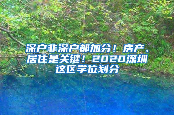 深户非深户都加分！房产、居住是关键！2020深圳这区学位划分