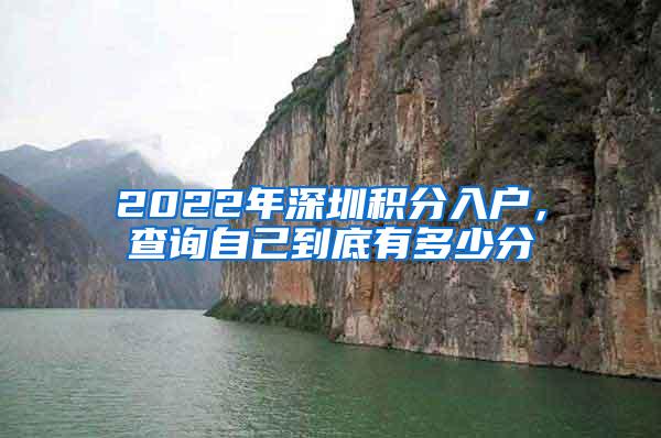 2022年深圳积分入户，查询自己到底有多少分