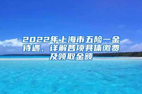 2022年上海市五险一金待遇，详解各项具体缴费及领取金额