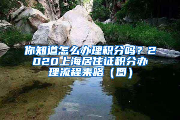 你知道怎么办理积分吗？2020上海居住证积分办理流程来咯（图）