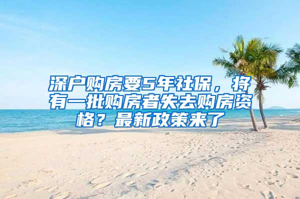 深户购房要5年社保，将有一批购房者失去购房资格？最新政策来了