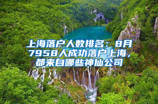 上海落户人数排名：8月7958人成功落户上海，都来自哪些神仙公司