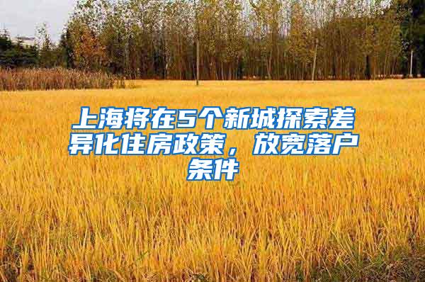 上海将在5个新城探索差异化住房政策，放宽落户条件