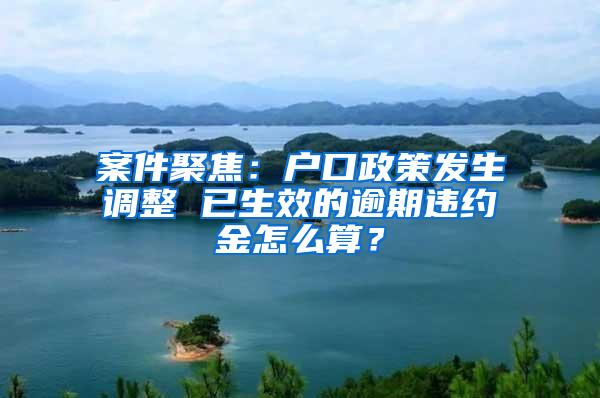 案件聚焦：户口政策发生调整 已生效的逾期违约金怎么算？