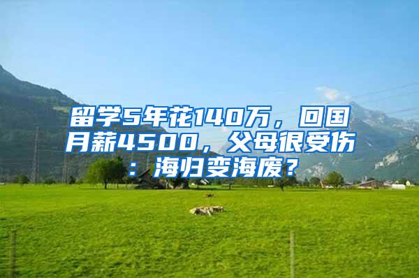 留学5年花140万，回国月薪4500，父母很受伤：海归变海废？