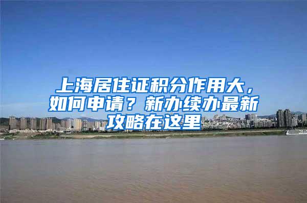 上海居住证积分作用大，如何申请？新办续办最新攻略在这里