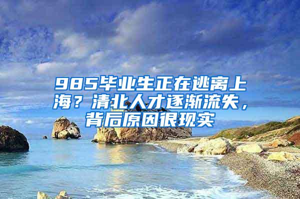 985毕业生正在逃离上海？清北人才逐渐流失，背后原因很现实