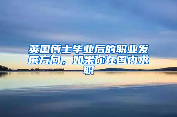 英国博士毕业后的职业发展方向，如果你在国内求职