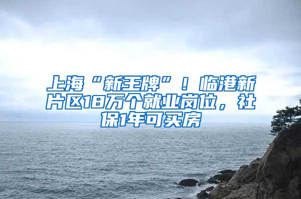 上海“新王牌”！临港新片区18万个就业岗位，社保1年可买房