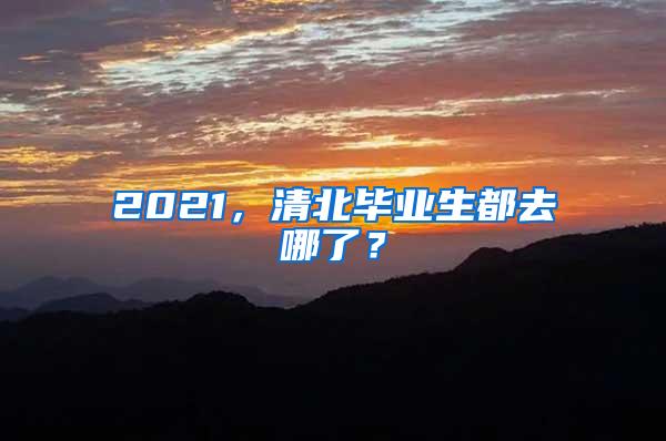 2021，清北毕业生都去哪了？