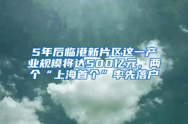 5年后临港新片区这一产业规模将达500亿元，两个“上海首个”率先落户