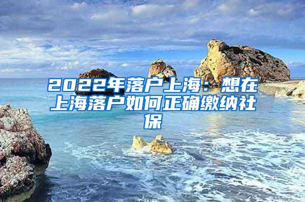 2022年落户上海：想在上海落户如何正确缴纳社保