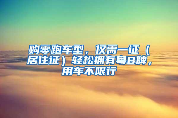 购零跑车型，仅需一证（居住证）轻松拥有粤B牌，用车不限行