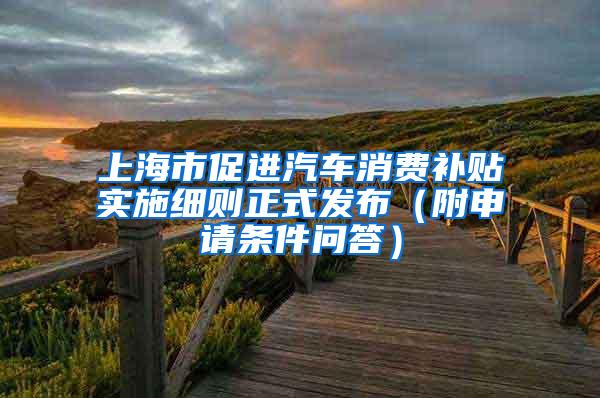 上海市促进汽车消费补贴实施细则正式发布（附申请条件问答）