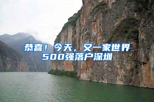 恭喜！今天，又一家世界500强落户深圳