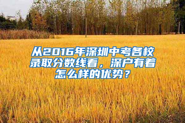 从2016年深圳中考各校录取分数线看，深户有着怎么样的优势？