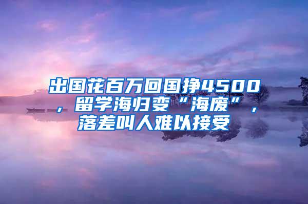 出国花百万回国挣4500，留学海归变“海废”，落差叫人难以接受