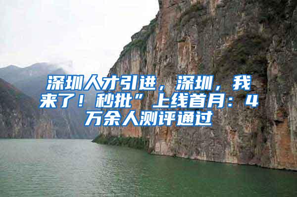 深圳人才引进，深圳，我来了！秒批”上线首月：4万余人测评通过