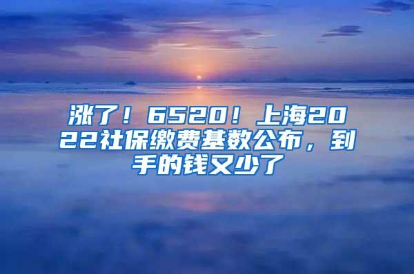 涨了！6520！上海2022社保缴费基数公布，到手的钱又少了