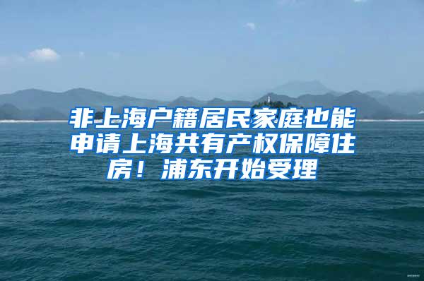 非上海户籍居民家庭也能申请上海共有产权保障住房！浦东开始受理