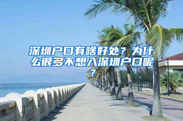 深圳户口有啥好处？为什么很多不想入深圳户口呢？