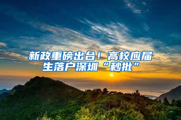 新政重磅出台！高校应届生落户深圳“秒批”