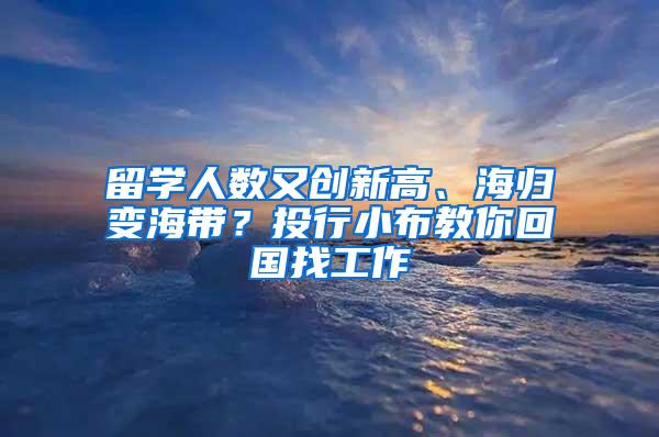 留学人数又创新高、海归变海带？投行小布教你回国找工作