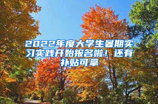 2022年度大学生暑期实习实践开始报名啦！还有补贴可拿→