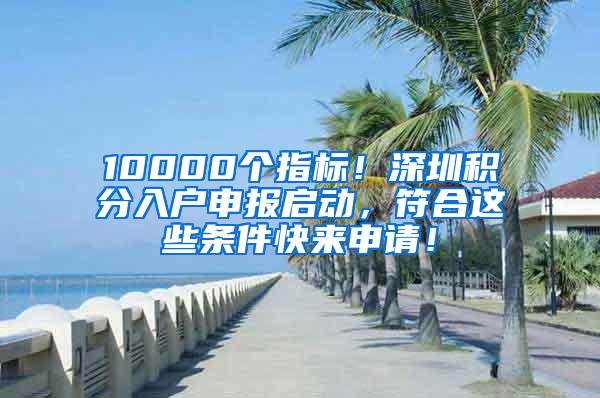 10000个指标！深圳积分入户申报启动，符合这些条件快来申请！