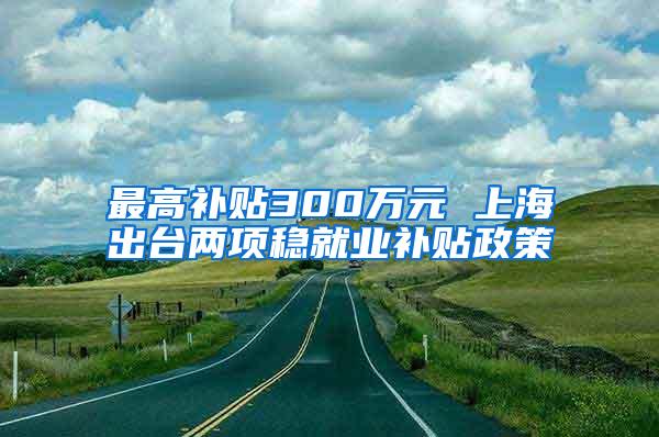 最高补贴300万元 上海出台两项稳就业补贴政策