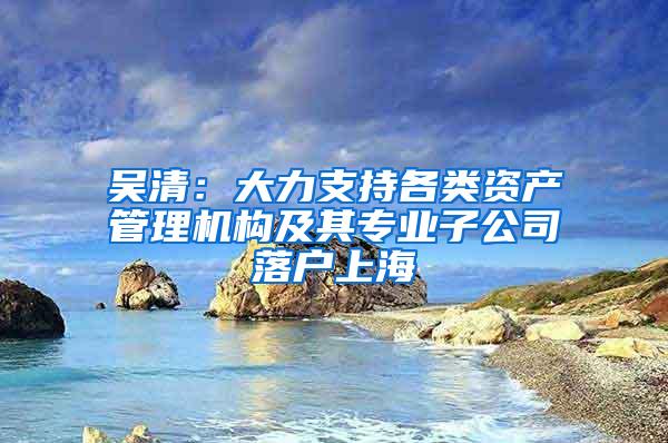 吴清：大力支持各类资产管理机构及其专业子公司落户上海