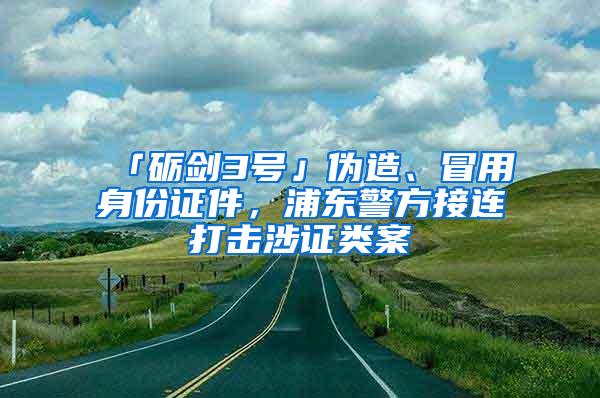 「砺剑3号」伪造、冒用身份证件，浦东警方接连打击涉证类案