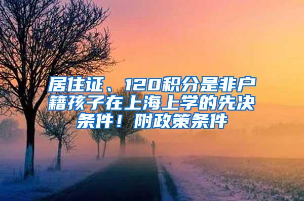 居住证、120积分是非户籍孩子在上海上学的先决条件！附政策条件