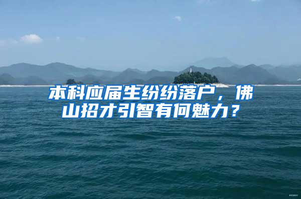 本科应届生纷纷落户，佛山招才引智有何魅力？