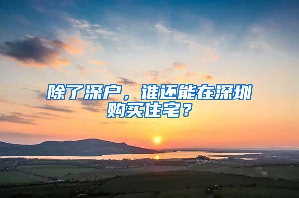 除了深户，谁还能在深圳购买住宅？