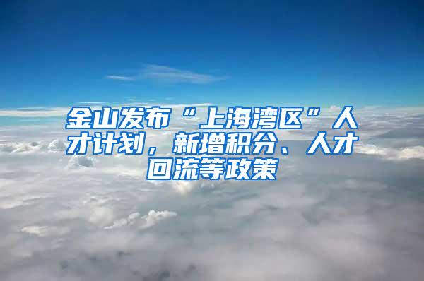 金山发布“上海湾区”人才计划，新增积分、人才回流等政策