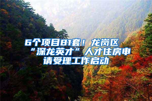 6个项目81套！龙岗区“深龙英才”人才住房申请受理工作启动