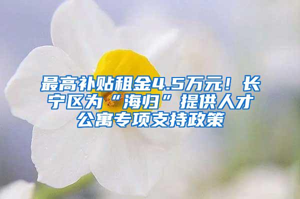 最高补贴租金4.5万元！长宁区为“海归”提供人才公寓专项支持政策