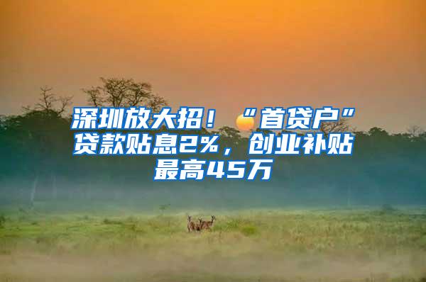 深圳放大招！“首贷户”贷款贴息2%，创业补贴最高45万