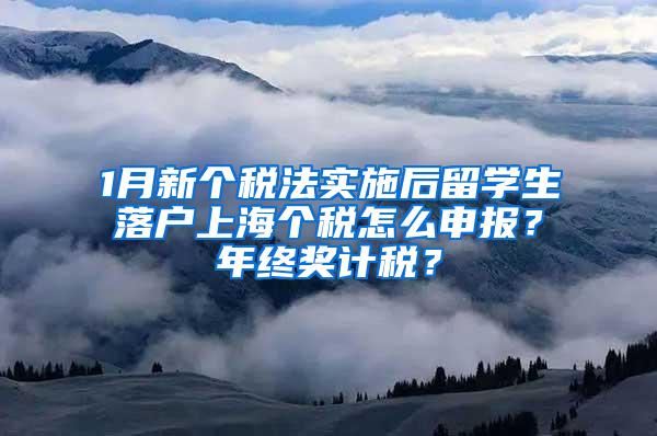 1月新个税法实施后留学生落户上海个税怎么申报？年终奖计税？