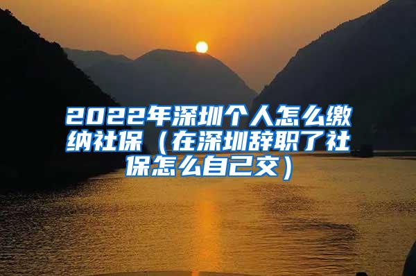 2022年深圳个人怎么缴纳社保（在深圳辞职了社保怎么自己交）