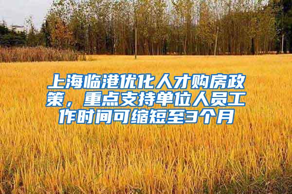 上海临港优化人才购房政策，重点支持单位人员工作时间可缩短至3个月