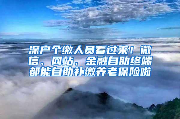 深户个缴人员看过来！微信、网站、金融自助终端都能自助补缴养老保险啦