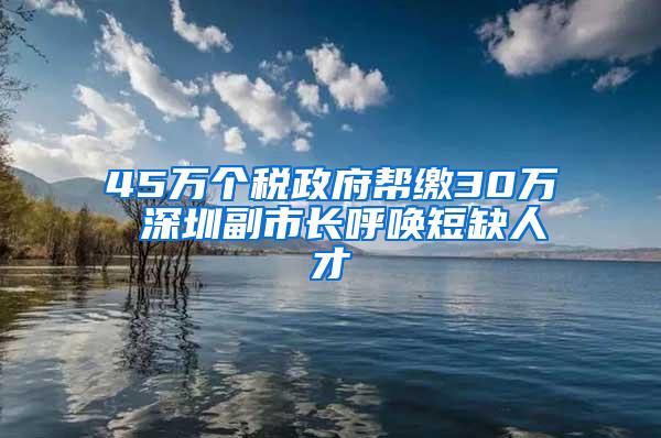 45万个税政府帮缴30万 深圳副市长呼唤短缺人才