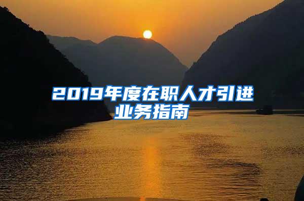 2019年度在职人才引进业务指南