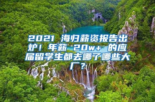 2021 海归薪资报告出炉！年薪 20w+ 的应届留学生都去哪了哪些大厂？