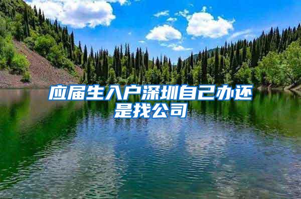 应届生入户深圳自己办还是找公司