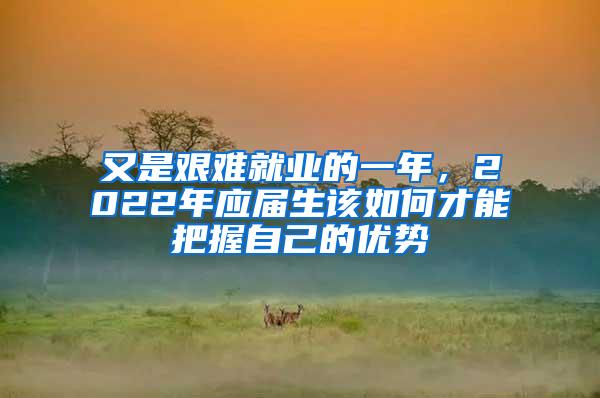 又是艰难就业的一年，2022年应届生该如何才能把握自己的优势