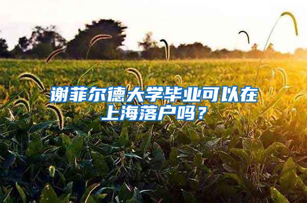 谢菲尔德大学毕业可以在上海落户吗？