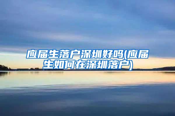 应届生落户深圳好吗(应届生如何在深圳落户)